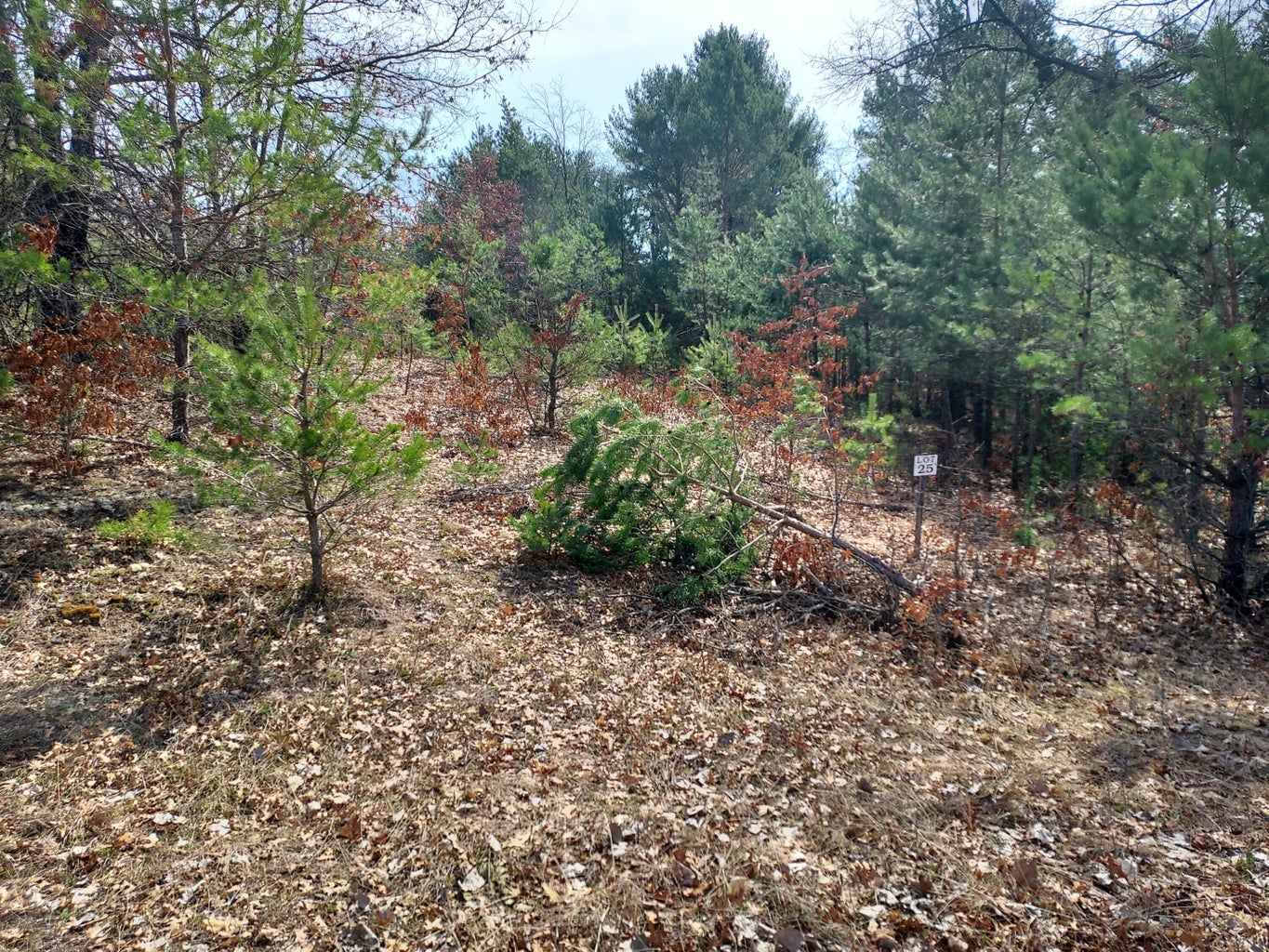 LOT 25 N RIDGE Road, Evart, MI 49631