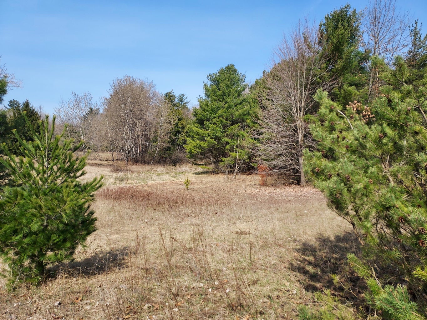 LOT 2 N RIDGE Road, Evart, MI 49631